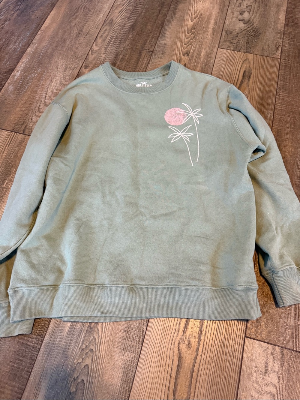 Light Sage Green Graphic Crewneck Sweatshirt -oversized
